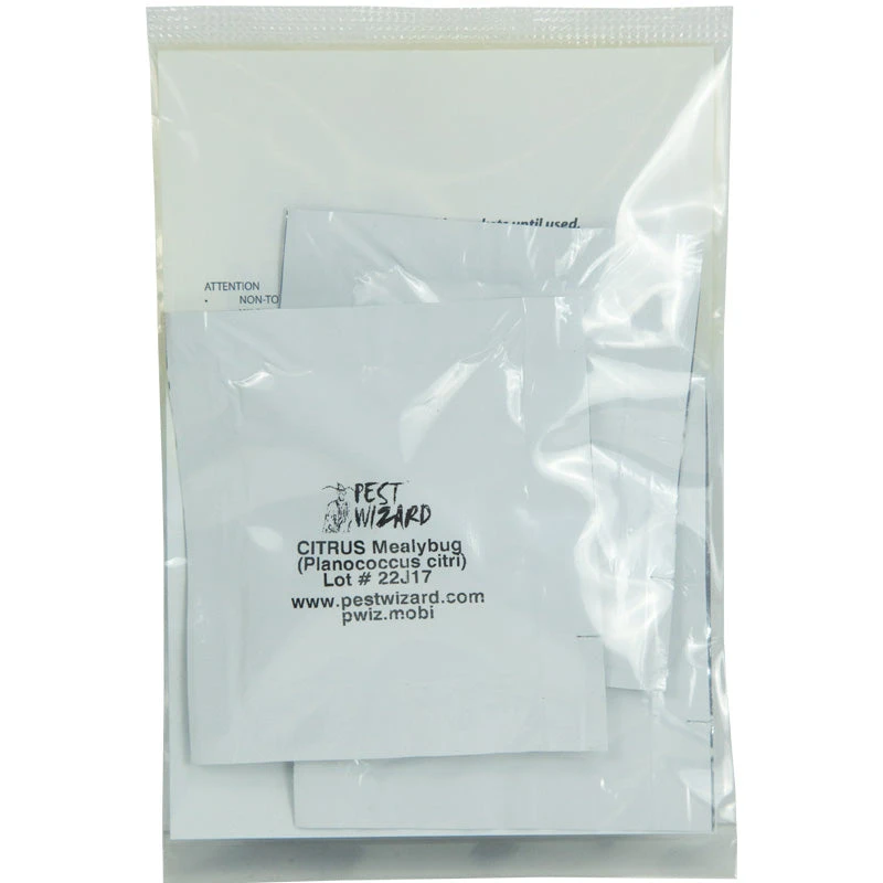 Pest Wizard Citrus Mealybug Lure 3-Pack 2 Pest Wizard Citrus Mealybug Lure 3-Pack - Billede 2