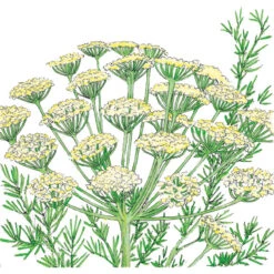 Nye udgivelser -Miller Salgsbutik SNV8052 a