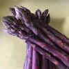 Asparagus Sweet Purple