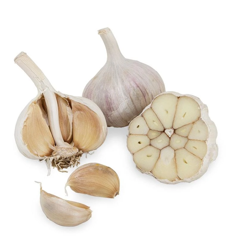 Conventionally Grown Garlic, Purple Italian (lb) 1 Conventionally Grown Garlic, Purple Italian (lb)
