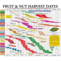Fruit Tree Harvest Chart