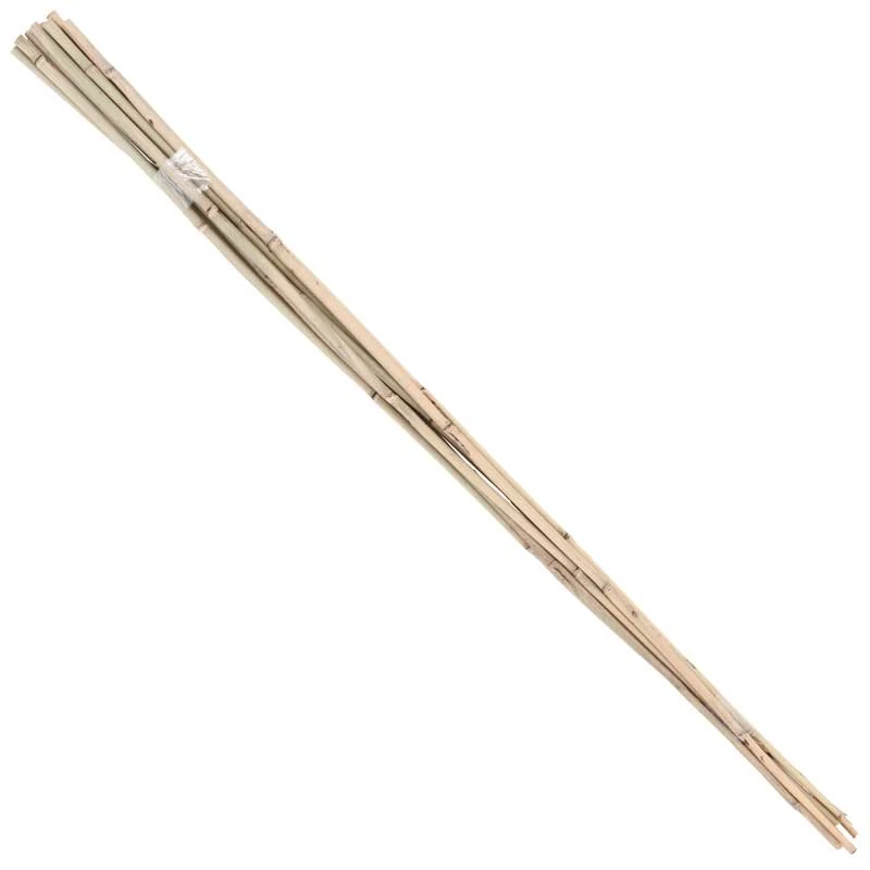 Bamboo Stakes - 10' (Pack Of 10) 2 Bamboo Stakes - 10' (Pack Of 10) - Billede 2