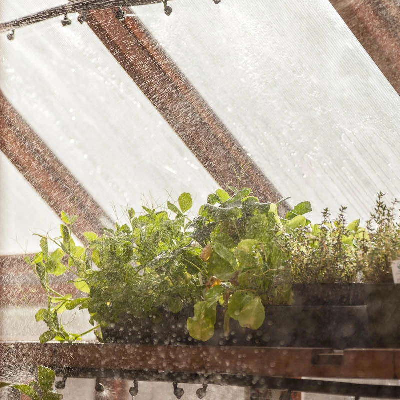 Fogger Mister 3 Fogger Mister - Billede 3