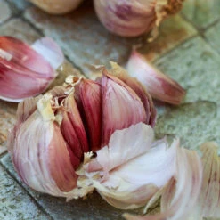 Organic Garlic, Red Italian (lb)