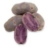 Fall-Planted Organic All Blue Seed Potatoes (lb)