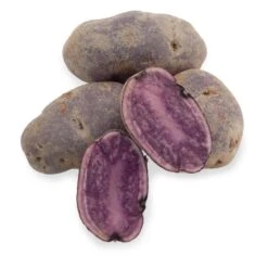 Fall-Planted Organic All Blue Seed Potatoes (lb)
