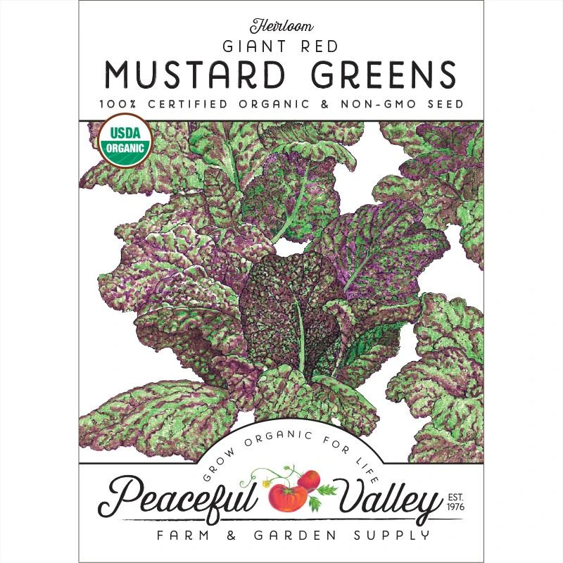 Mustard Giant Red Greens Seeds (Organic) 1 Mustard Giant Red Greens Seeds (Organic)