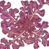 Organic Lettuce, Red Oakleaf (1 Oz)
