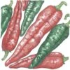 Organic Pepper, Hot New Mexico Joe Parker (1 Oz)