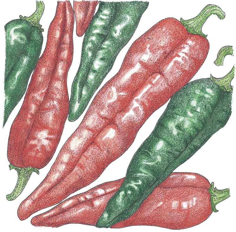 Organic Pepper, Hot New Mexico Joe Parker (1 Oz) 1 Organic Pepper, Hot New Mexico Joe Parker (1 Oz)