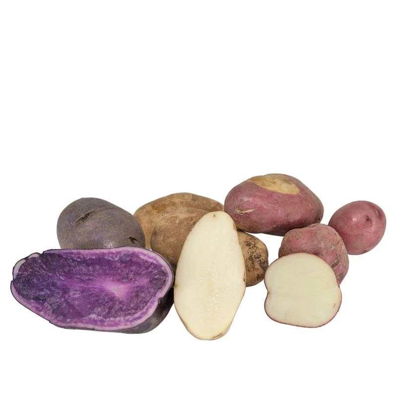 Fall-Planted Organic Rainbow Mix Seed Potatoes (lb) 1 Fall-Planted Organic Rainbow Mix Seed Potatoes (lb)
