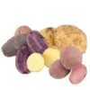 Rainbow Mix Potato (Organic)