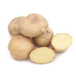 Fall-Planted Organic Yellow Finn Seed Potatoes (lb)