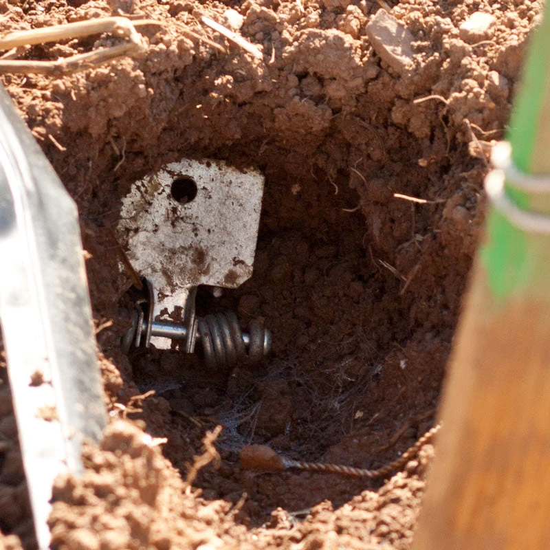 Victor Gopher Traps (Pack Of 2) 3 Victor Gopher Traps (Pack Of 2) - Billede 3