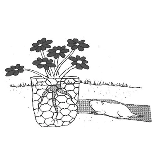 Gopher Wire (4' X 100' Roll) 2 Gopher Wire (4' X 100' Roll) - Billede 2