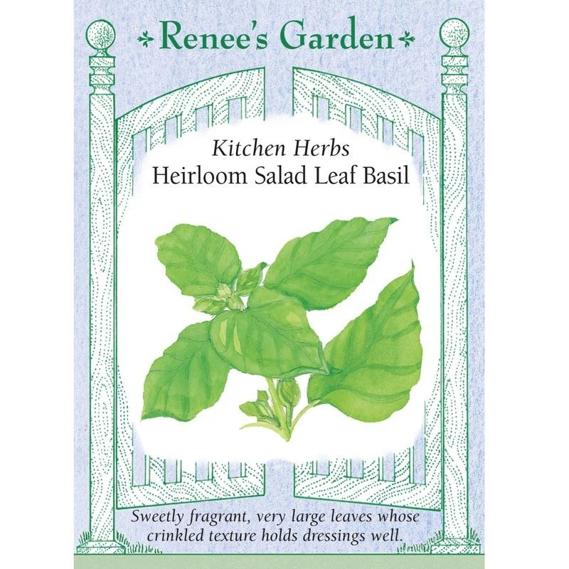 Renee's Garden Basil Salad Leaf (Heirloom) 1 Renee's Garden Basil Salad Leaf (Heirloom)