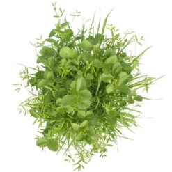 Peaceful Valley Budget Soil Builder Mix - Raw Seed (lb) -Miller Salgsbutik scm125 b