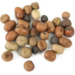 Peaceful Valley Nitro-Max Plow Down Mix Seed (lb) -Miller Salgsbutik scm360 1