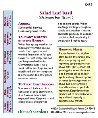 Renee's Garden Basil Salad Leaf (Heirloom) 2 Renee's Garden Basil Salad Leaf (Heirloom) - Billede 2