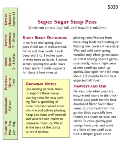 Renee's Garden Pea Snap Super Sugar -Miller Salgsbutik snv4045 pb