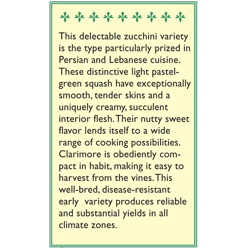 Renee's Garden Squash Summer Zucchini Mid-East Clarimore 2 Renee's Garden Squash Summer Zucchini Mid-East Clarimore - Billede 2