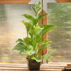 Nye udgivelser -Miller Salgsbutik snv7049 a