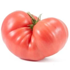 Prudens Purple Tomato Seeds (Organic) -Miller Salgsbutik snv8193 2 1