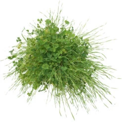 Peaceful Valley Sierra Foothill Dryland Mix - Nitrocoated Seed (lb) -Miller Salgsbutik spd600 c